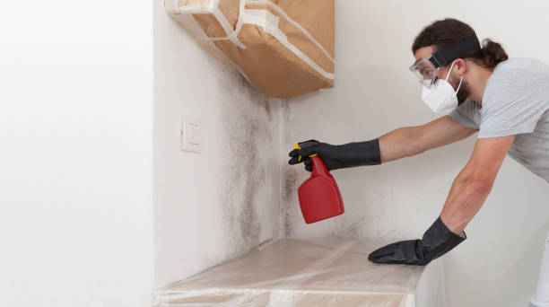 Professional Commercial Mold Remediation technician working in Alden, MI